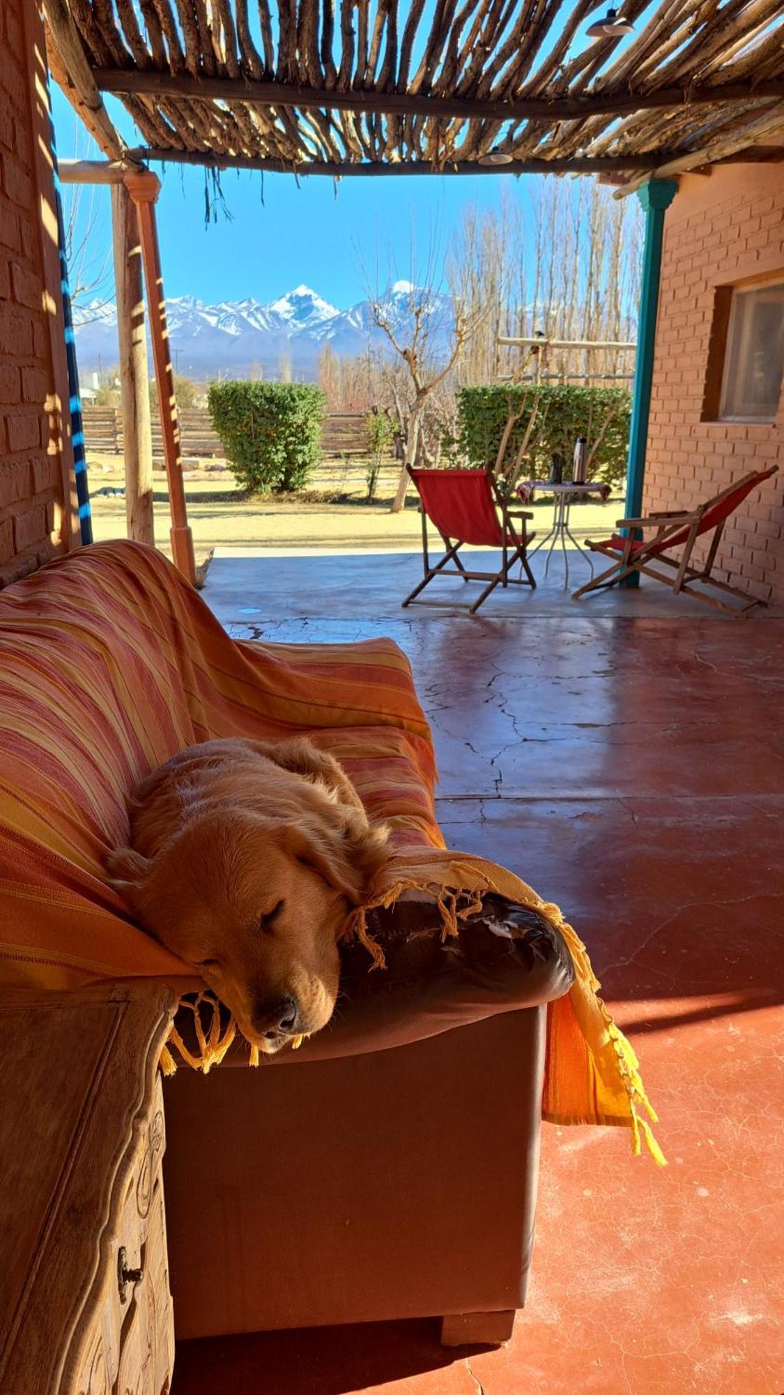 Aire De Barreal Hostel Andino Экстерьер фото