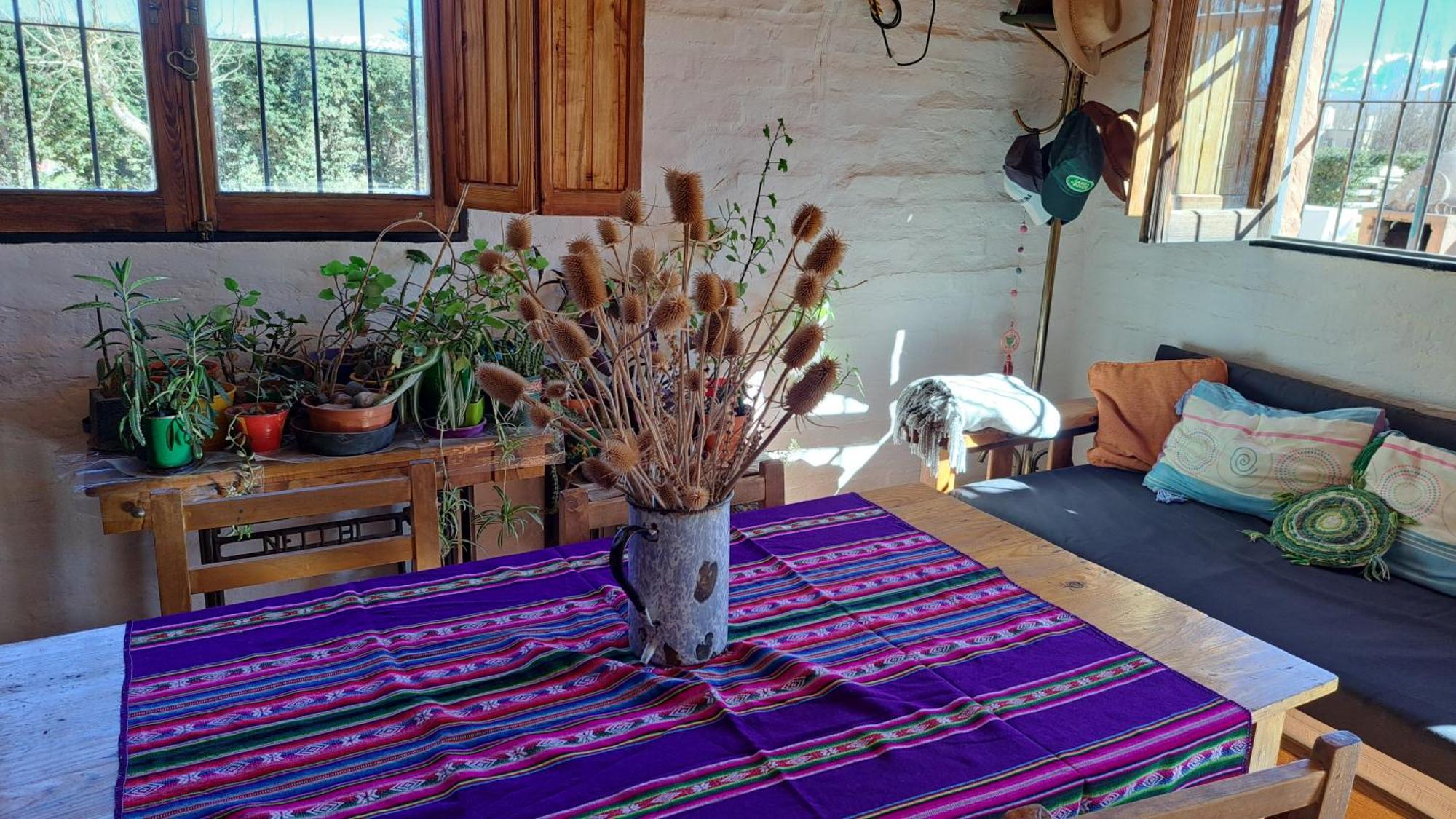 Aire De Barreal Hostel Andino Экстерьер фото